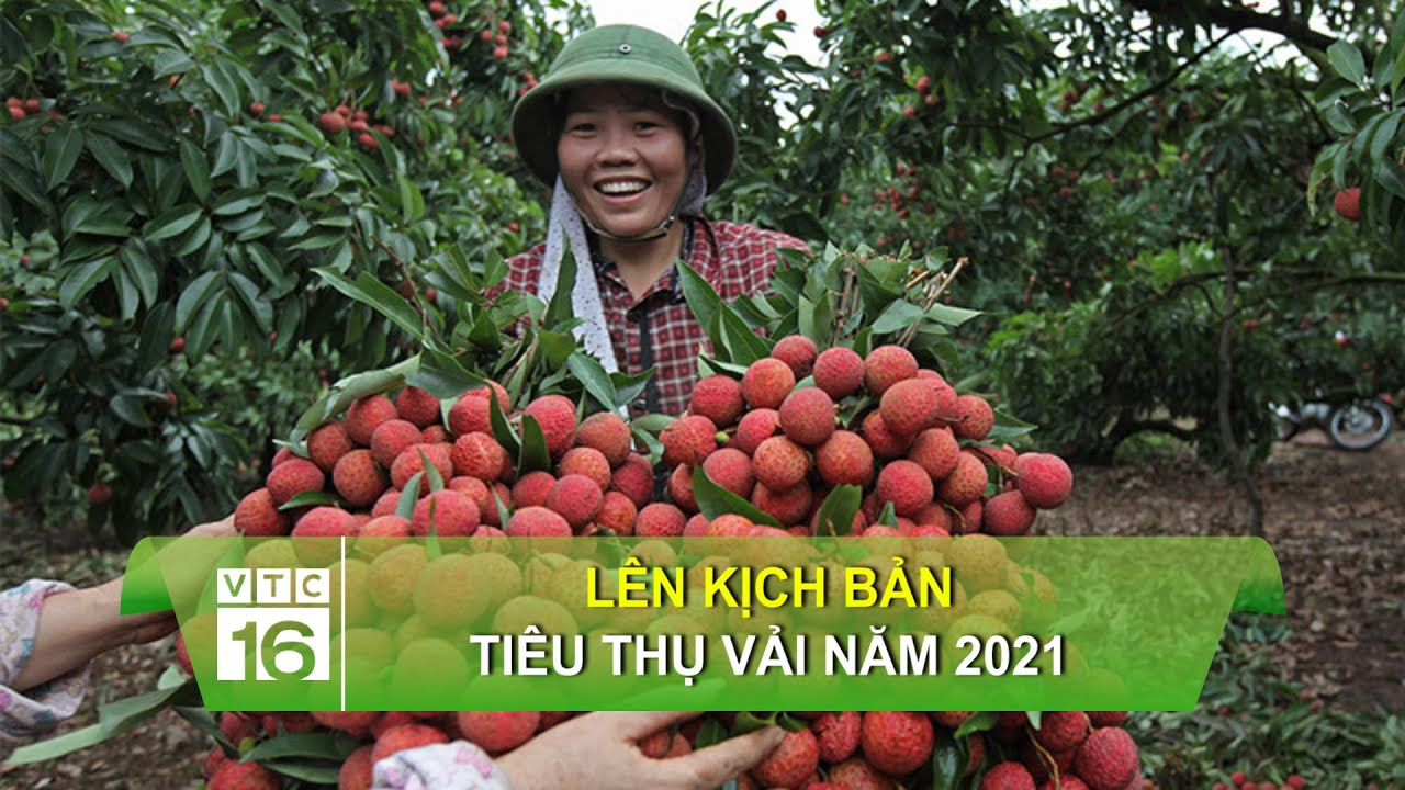 Nguyễn Quang Hải trả đũa 'vua cùi chỏ' Theerathon Bunmathan