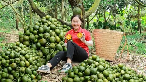 Top 10 trường THPT dễ trúng tuyển lớp 10 nhất TP.HCM năm 2025