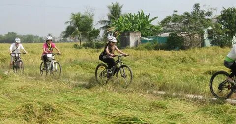 Học phí các trường kinh tế, cao nhất 230 triệu đồng/năm